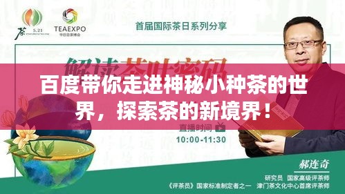 百度带你走进神秘小种茶的世界，探索茶的新境界！