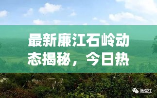 最新廉江石岭动态揭秘，今日热点一网打尽