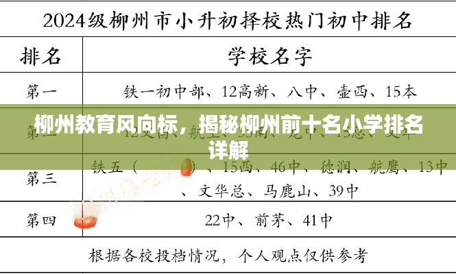 柳州教育风向标，揭秘柳州前十名小学排名详解