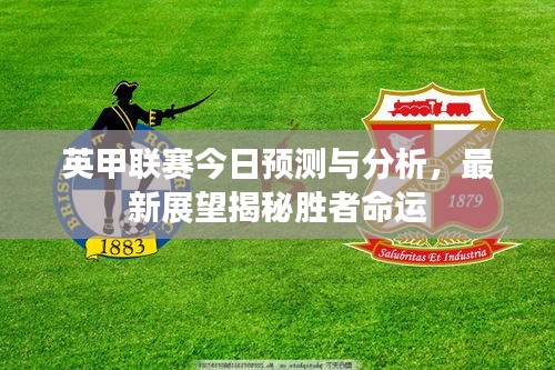 英甲联赛今日预测与分析，最新展望揭秘胜者命运