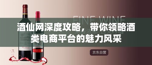 酒仙网深度攻略，带你领略酒类电商平台的魅力风采