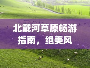 北戴河草原畅游指南，绝美风光与旅行攻略全掌握
