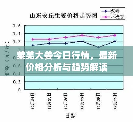 莱芜大姜今日行情，最新价格分析与趋势解读