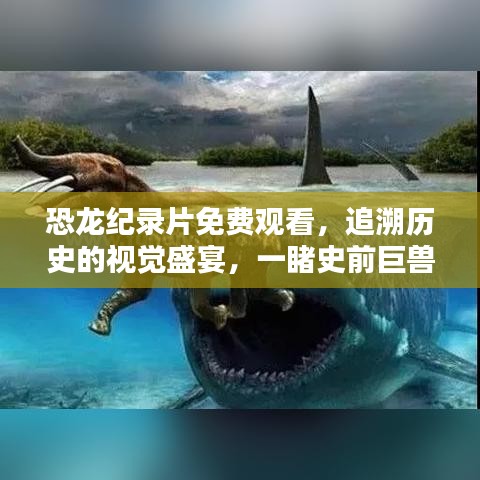 恐龙纪录片免费观看，追溯历史的视觉盛宴，一睹史前巨兽风采！