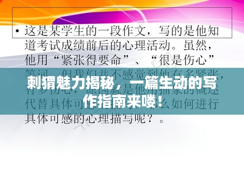 刺猬魅力揭秘，一篇生动的写作指南来喽！