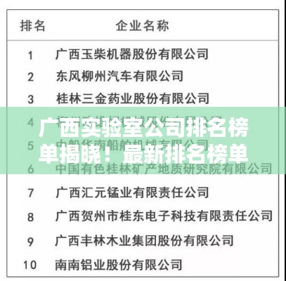 广西实验室公司排名榜单揭晓！最新排名榜单抢先看
