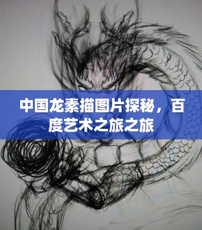 中国龙素描图片探秘，百度艺术之旅之旅