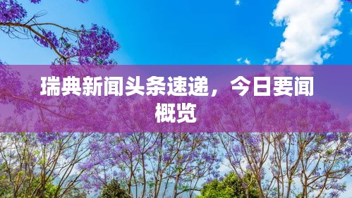 瑞典新闻头条速递，今日要闻概览