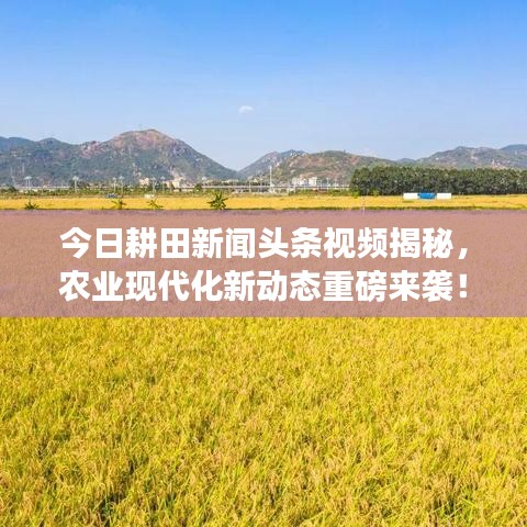 今日耕田新闻头条视频揭秘，农业现代化新动态重磅来袭！
