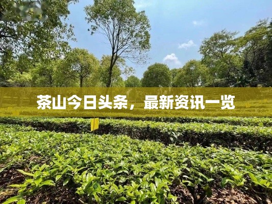 翰飞戾天