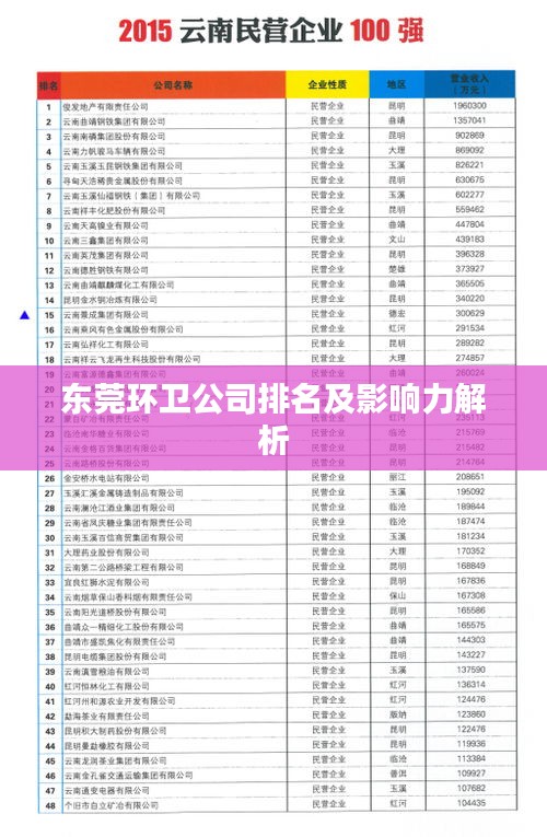 东莞环卫公司排名及影响力解析