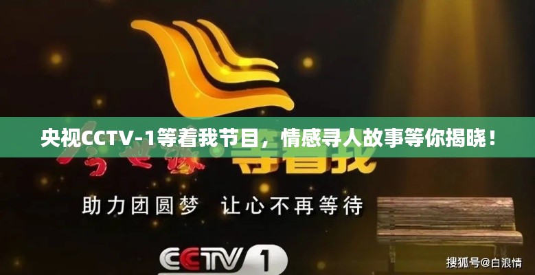央视CCTV-1等着我节目，情感寻人故事等你揭晓！