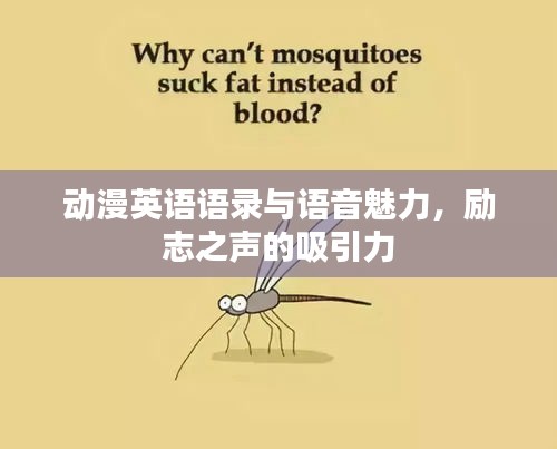 动漫英语语录与语音魅力，励志之声的吸引力