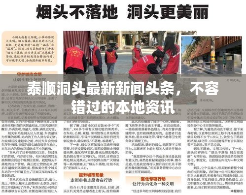 泰顺洞头最新新闻头条，不容错过的本地资讯