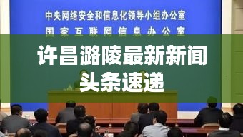 许昌潞陵最新新闻头条速递