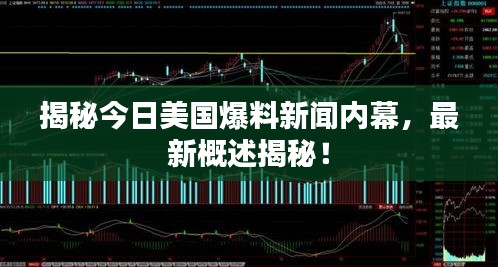 揭秘今日美国爆料新闻内幕，最新概述揭秘！