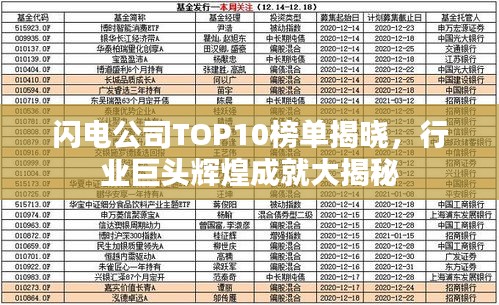 闪电公司TOP10榜单揭晓，行业巨头辉煌成就大揭秘