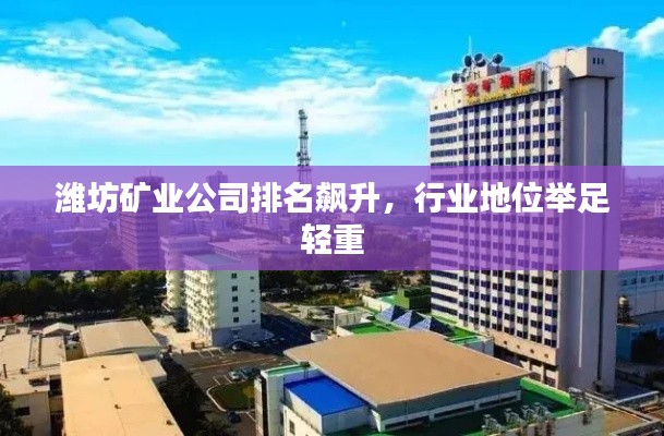 潍坊矿业公司排名飙升，行业地位举足轻重