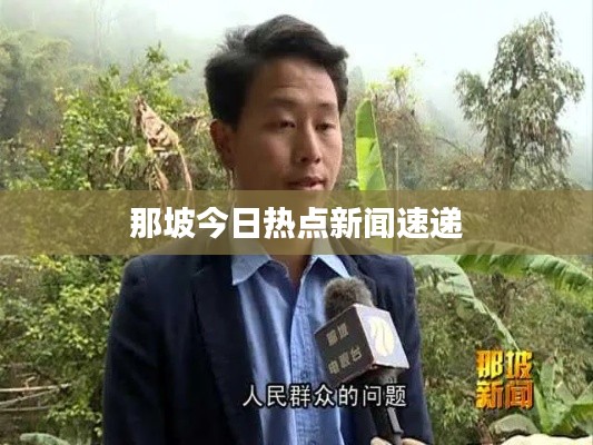 那坡今日热点新闻速递