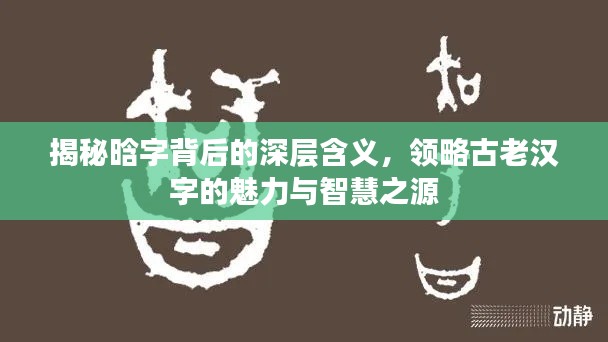 揭秘晗字背后的深层含义，领略古老汉字的魅力与智慧之源