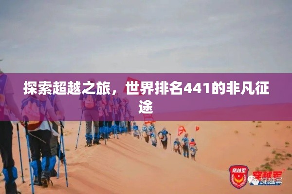 探索超越之旅，世界排名441的非凡征途