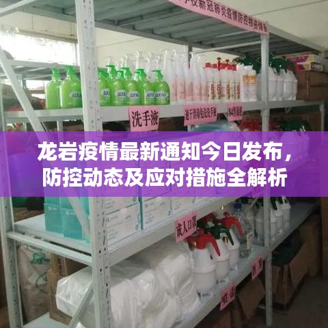 龙岩疫情最新通知今日发布，防控动态及应对措施全解析