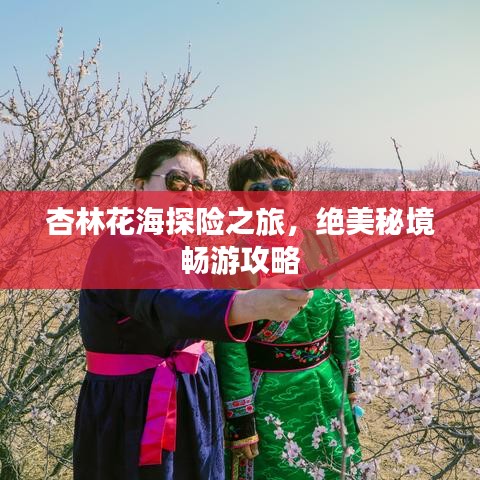 杏林花海探险之旅，绝美秘境畅游攻略