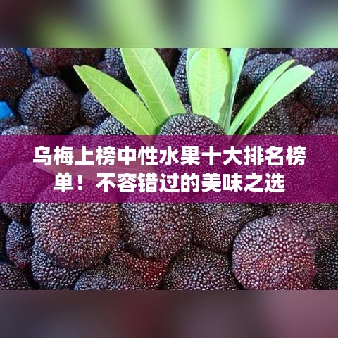 乌梅上榜中性水果十大排名榜单！不容错过的美味之选