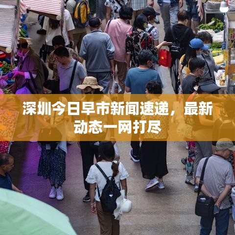深圳今日早市新闻速递，最新动态一网打尽