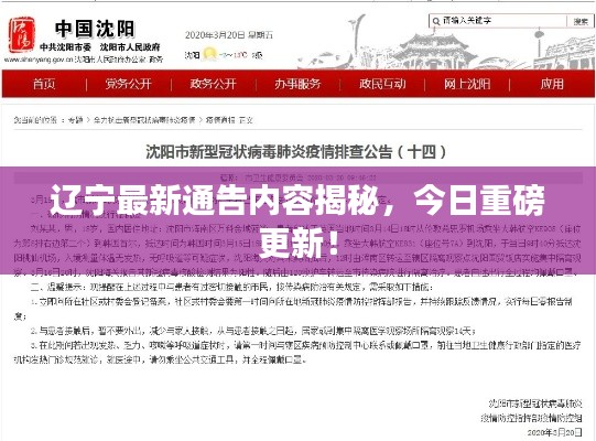 辽宁最新通告内容揭秘，今日重磅更新！