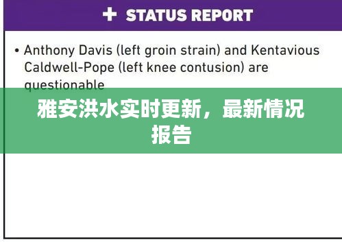 雅安洪水实时更新，最新情况报告