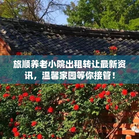 旅顺养老小院出租转让最新资讯，温馨家园等你接管！