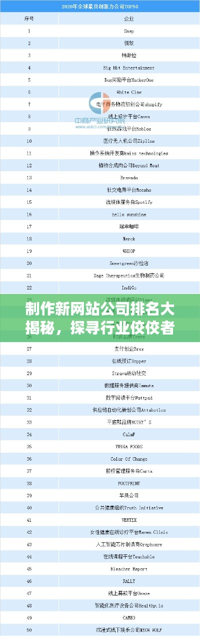 制作新网站公司排名大揭秘，探寻行业佼佼者！