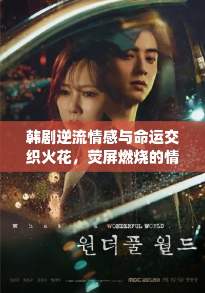 韩剧逆流情感与命运交织火花，荧屏燃烧的情感火花