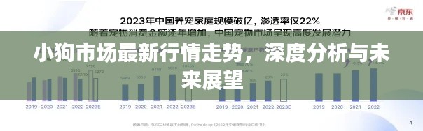 小狗市场最新行情走势，深度分析与未来展望