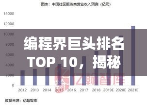 编程界巨头排名TOP 10，揭秘行业领军者！