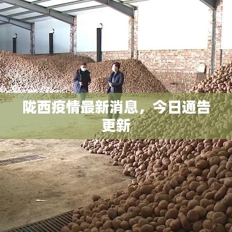 陇西疫情最新消息，今日通告更新