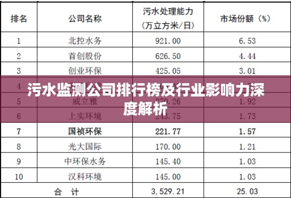 污水监测公司排行榜及行业影响力深度解析