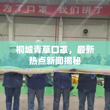 桐城青草口罩，最新热点新闻揭秘