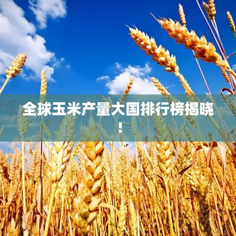 全球玉米产量大国排行榜揭晓！