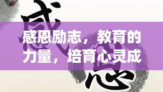 感恩励志，教育的力量，培育心灵成长的源泉