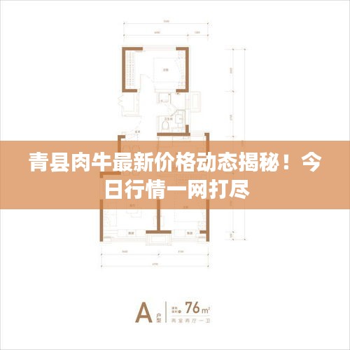 青县肉牛最新价格动态揭秘！今日行情一网打尽