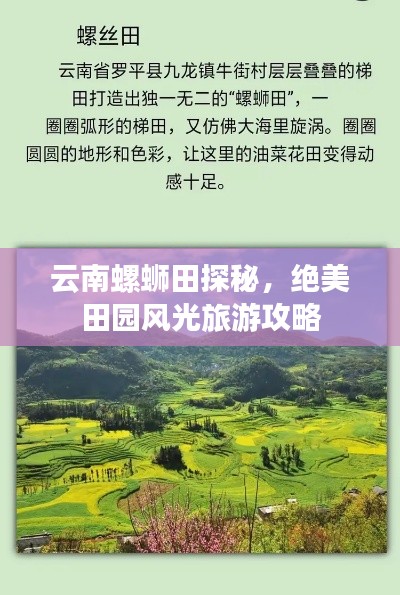 云南螺蛳田探秘，绝美田园风光旅游攻略