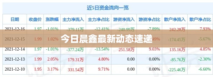 今日晨鑫最新动态速递