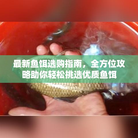 最新鱼饵选购指南，全方位攻略助你轻松挑选优质鱼饵
