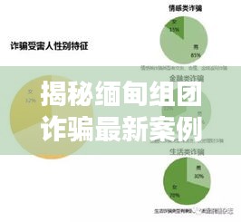 揭秘缅甸组团诈骗最新案例分析，深度剖析诈骗手法与防范之道
