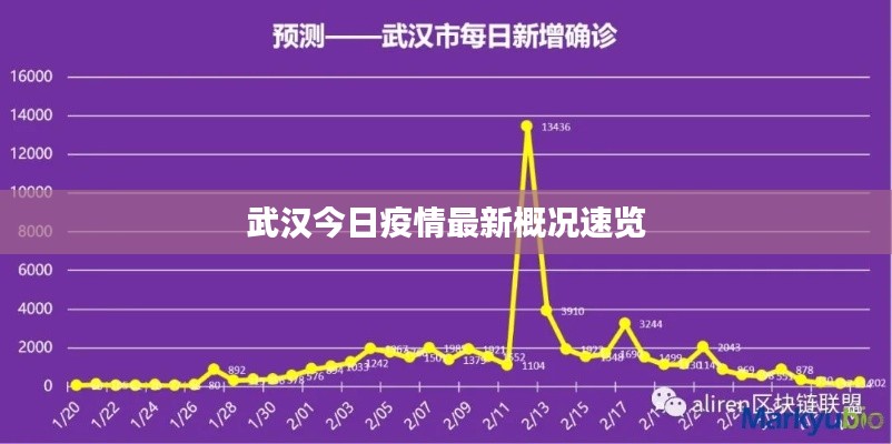 武汉今日疫情最新概况速览