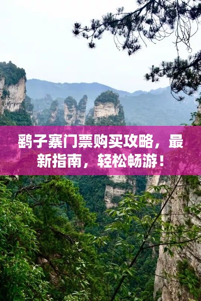 鹞子寨门票购买攻略，最新指南，轻松畅游！