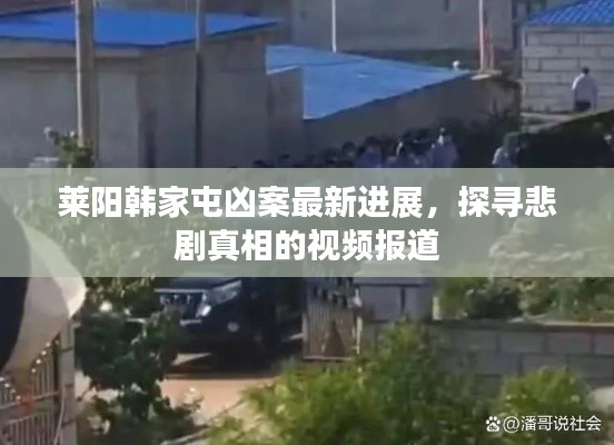 莱阳韩家屯凶案最新进展，探寻悲剧真相的视频报道