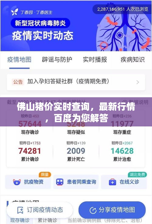 佛山猪价实时查询，最新行情，百度为您解答
